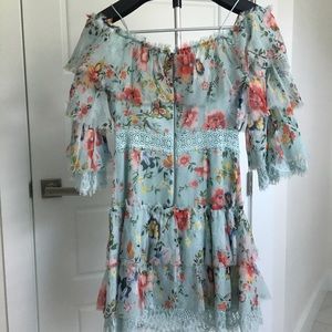 alice and olivia dress